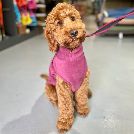 Fleece Jumper in dusty rose - Doghouse