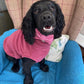 Fleece Jumper in dusty rose - Doghouse