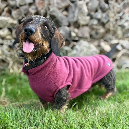 Fleece-Jumper dusty rose - Doghouse