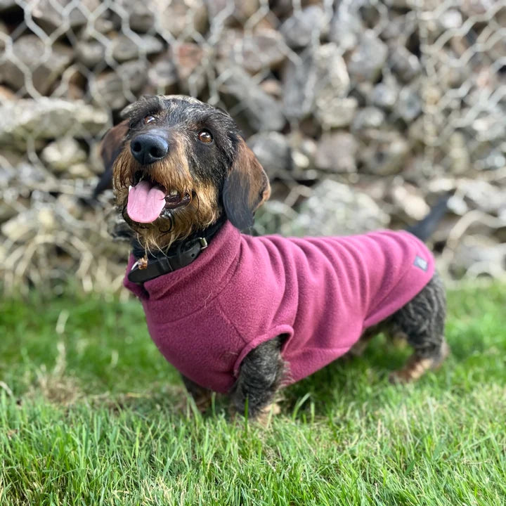 Fleece Jumper Dackel dusty rose - Doghouse