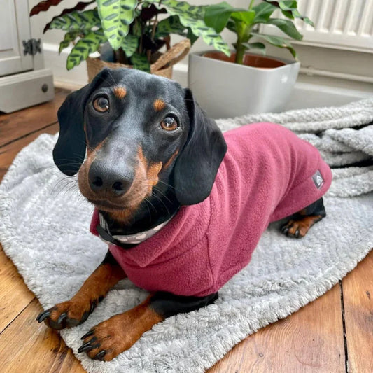 Fleece Jumper Dackel dusty rose - Doghouse