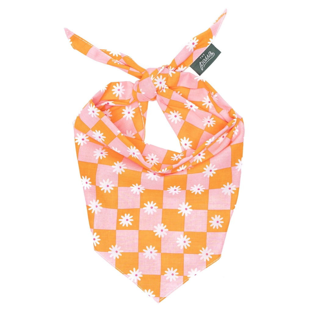 Hula Dog Bandana | Hundehalstuch mit Gänseblümchen - the paws