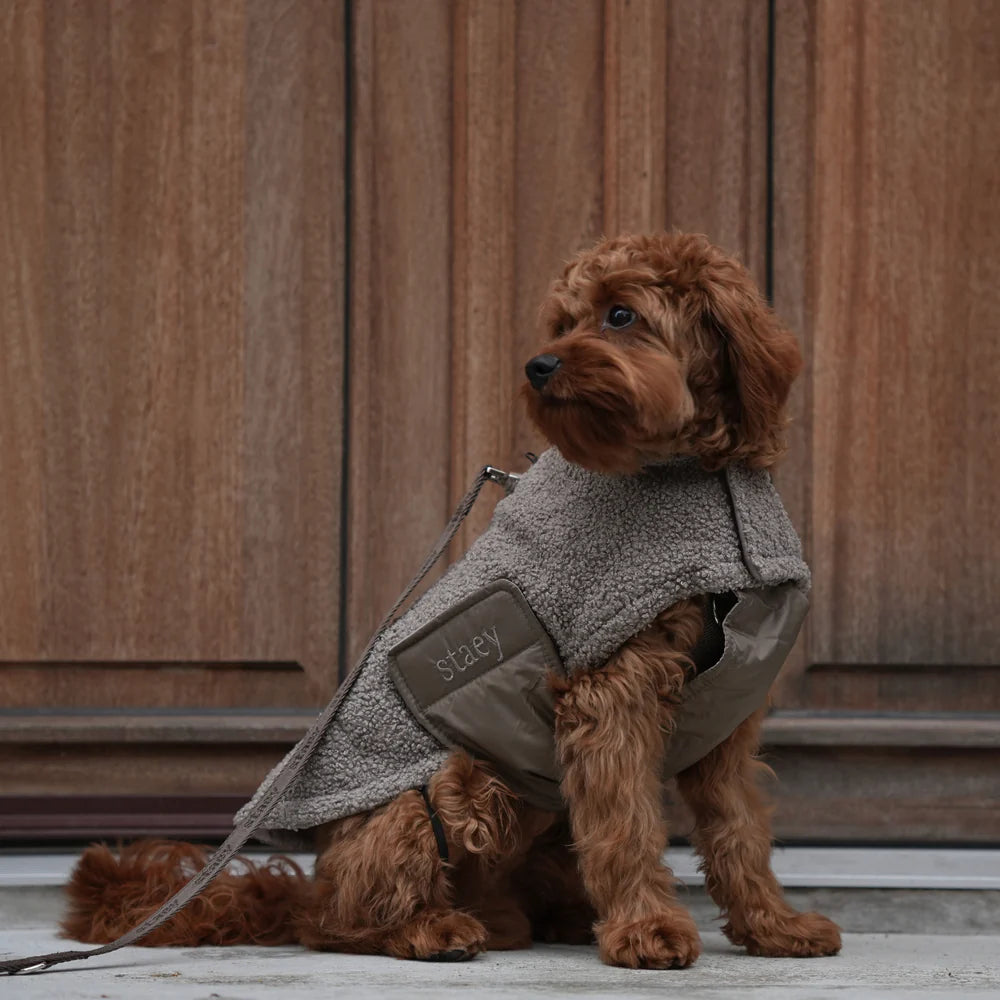 Hundemantel Teddy - Taupe - Staey