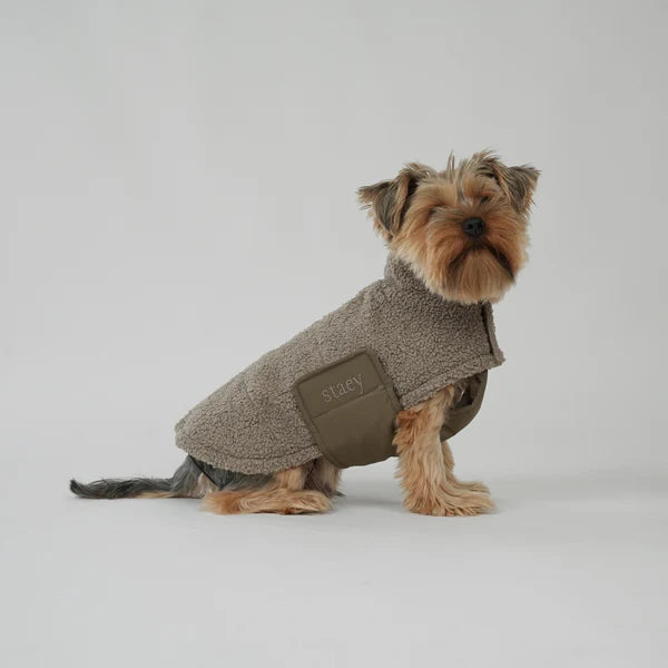 Hundemantel Teddy - Taupe - Staey