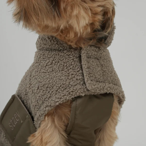 Hundemantel Teddy - Taupe - Staey