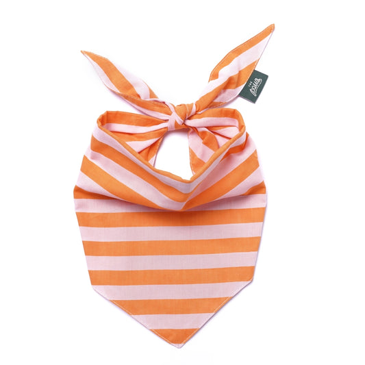 Nusa Dog Bandana - The Paws