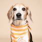 Nusa Dog Bandana - The Paws