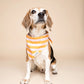 Nusa Dog Bandana - The Paws