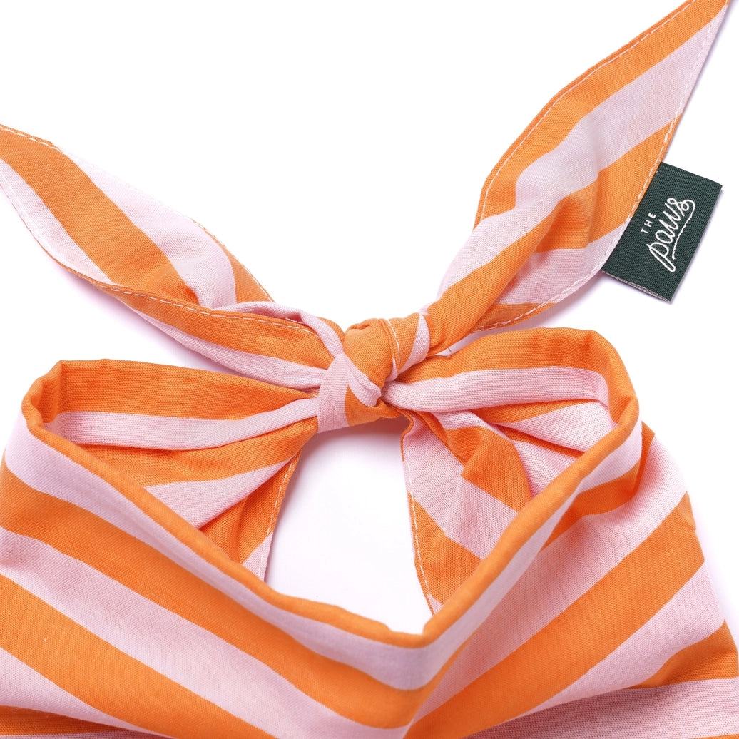 Nusa Dog Bandana - The Paws