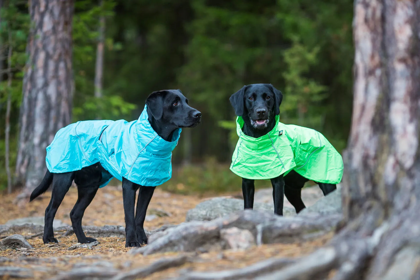 Regenmantel türkis RUKKAPETS