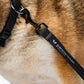 CITY LIFE - Soft Leash - Anthrazit