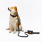 CITY LIFE - Soft Leash - Anthrazit