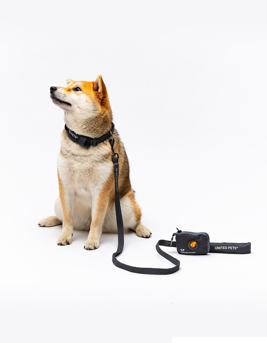 CITY LIFE - Soft Leash - Anthrazit