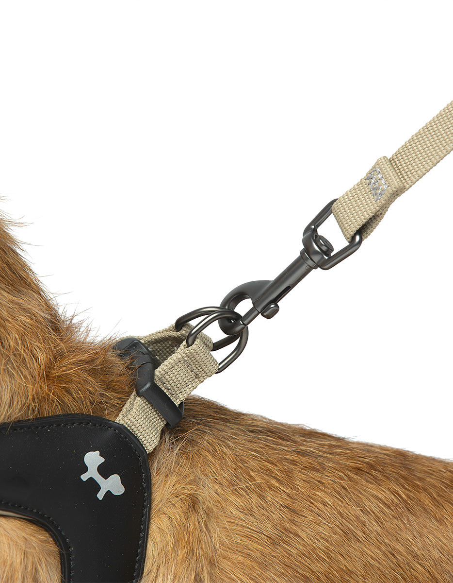 CITY LIFE - Soft Leash - beige