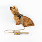 CITY LIFE - Soft Leash - beige