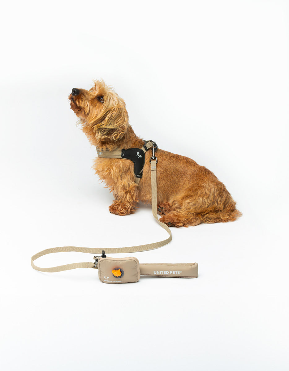 CITY LIFE - Soft Leash - beige