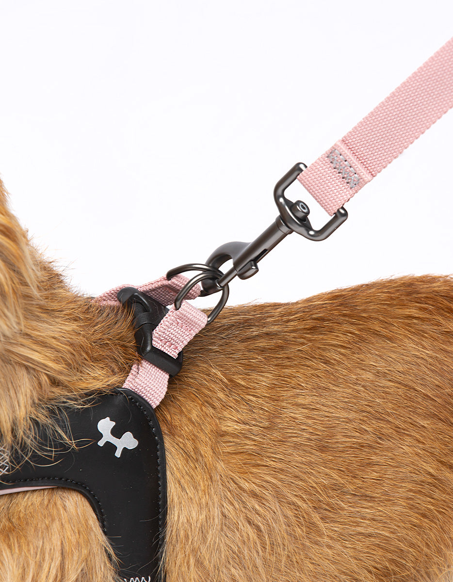 CITY LIFE - Soft Leash - rosa