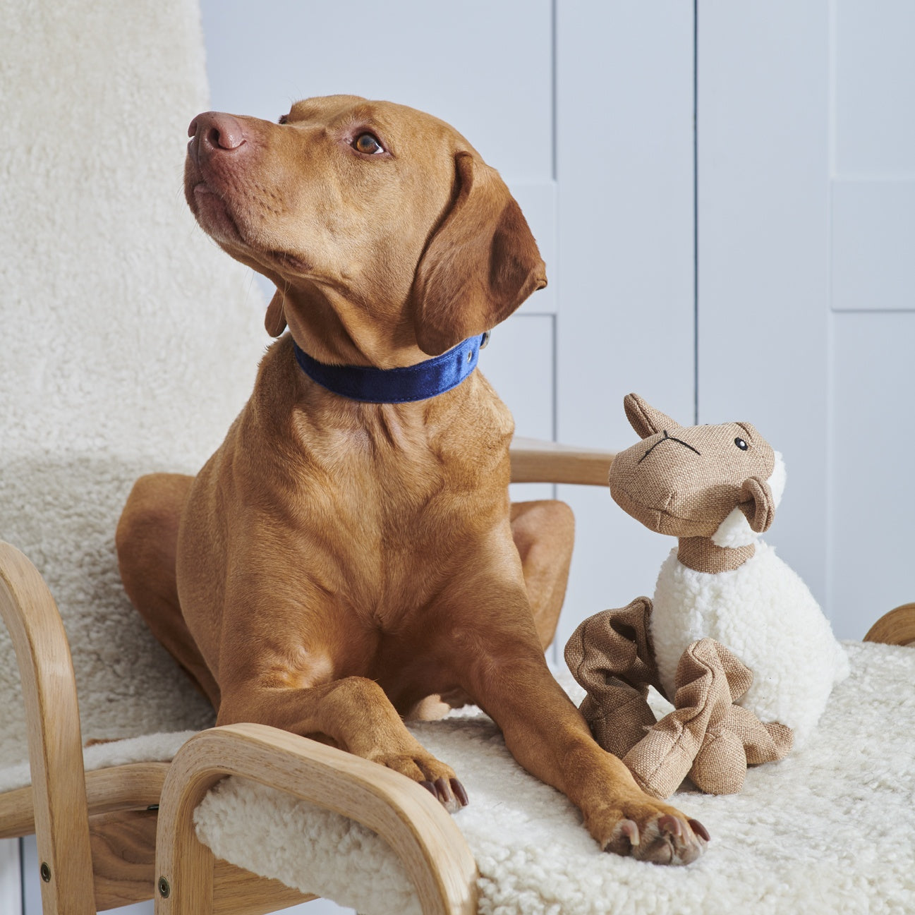 Flausch & Hanf Spielzeuge