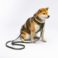 CITY LIFE - Training Leash khaki