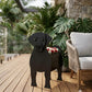 Blumentopf - als Hund