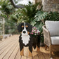 Blumentopf - als Hund