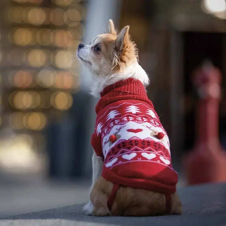 Weihnachtspulli für Hunde