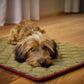 Hundedecke Samt & Oxford